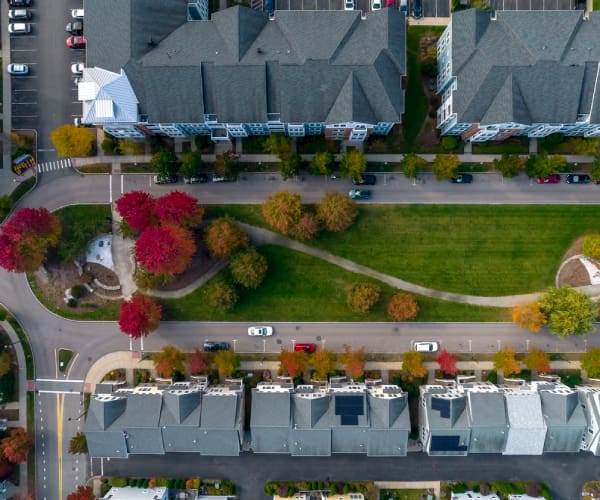 Landscaping Planting Services